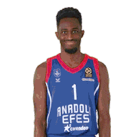 Happy Number One Sticker by Anadolu Efes SK