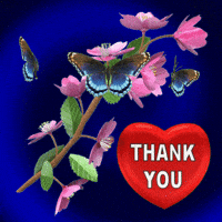 Thank You So Much GIF