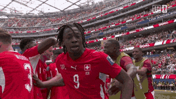 World Cup Football GIF by DAZN