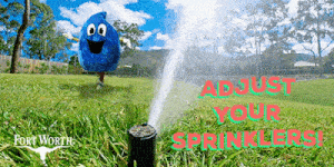 Texas Dallas GIF by Fort Worth Water