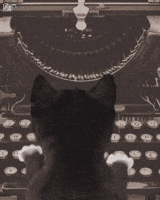 Work Cats GIF by Felini Rocks