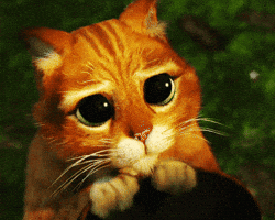 Puss In Boots Cat Eyes GIF