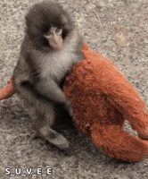 Baby Love GIF
