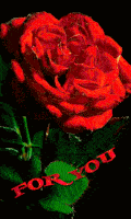 ti es GIF