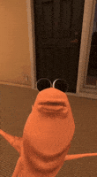 Confused Vr GIF