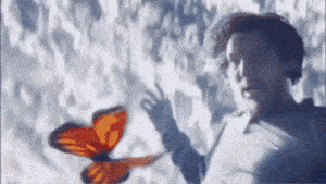 Fly Speed GIF
