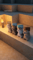 Dance Dancing GIF