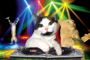 Fun Dancing GIF