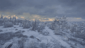 Snow Winter GIF