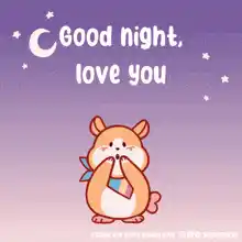 Good Night, Love You Hamster