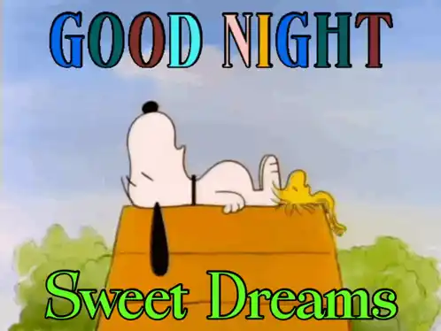 Snoopy & Woodstock: Good Night Sweet Dreams