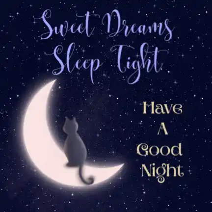 Sweet Dreams Good Night Cat on Moon