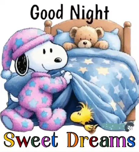 Good Night Sweet Dreams