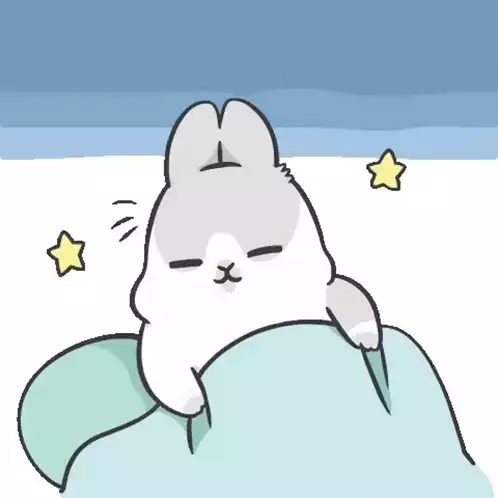 Good Night Rabbit