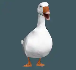Cyriak's Surreal Goose Transformation