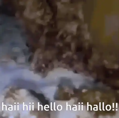 Hai Hi
