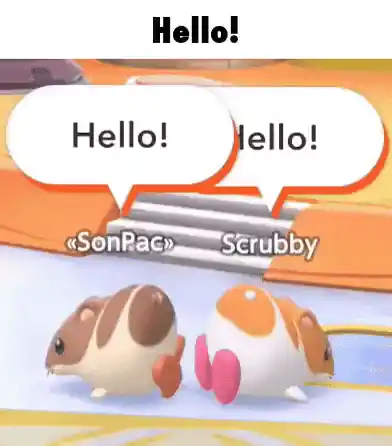 Hamster Hello