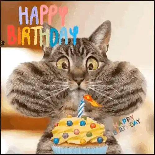 Happy Birthday Cat with Cupcake