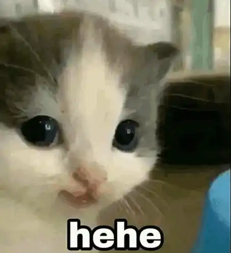 Hehedipsanu