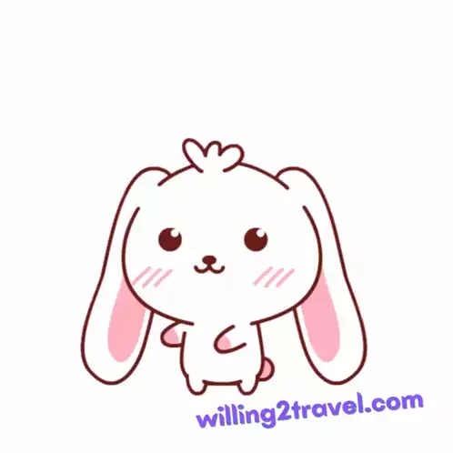 Hello Bunny Animation