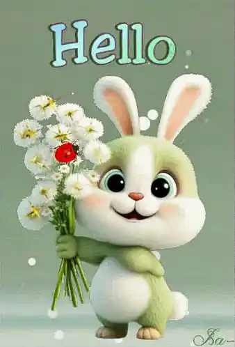 Hello from an Adorable Bunny