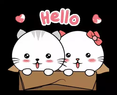 Cute Cats Hello Sticker