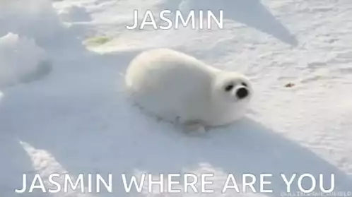 Jasmin the Seal Pup