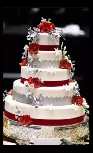 Elegant Kake كاتو with Red Flowers