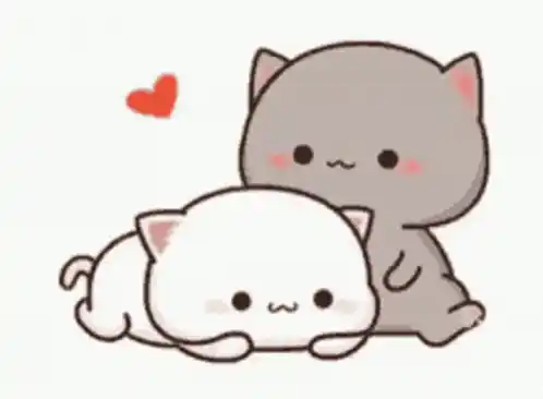 Adorable Cat Couple Affection