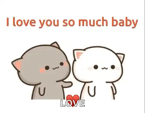 Cute Cats Say 'I Love You So Much Baby'