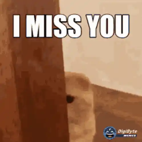 Kitties Miss You