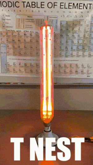 Limbus Limbuscompany Light Bulb