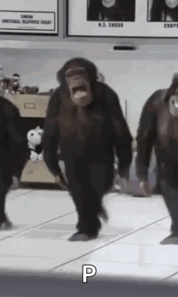 Monkey Dance Funny