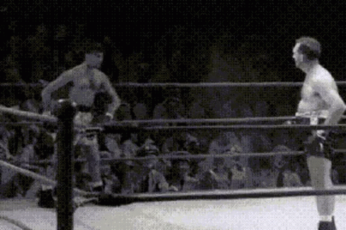Funny Boxing Match Moment