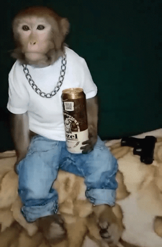 Monkey Chill Monkey