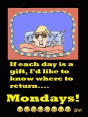 Funny Monday Quote: Return Policy