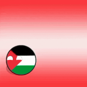 Bangladesh Palestine Countryballs Love