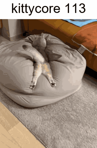 Kittycore Cat