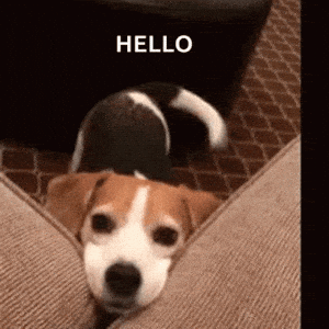 Hello There Are You