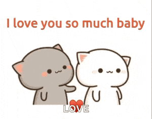 Cute Cats Say 'I Love You So Much Baby'