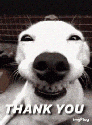 Smiling Dog Says Thank You