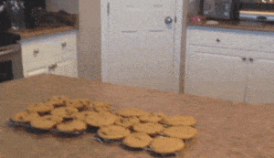 Excited Dog Wants Cookies