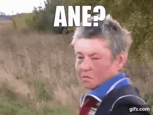 Ane Lt Makes a Funny Face with 'ANE?' Text