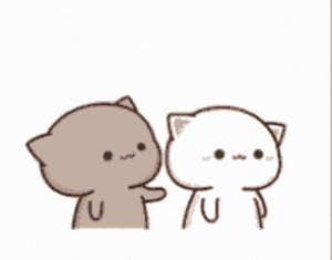 Cute Cats Showing Affection