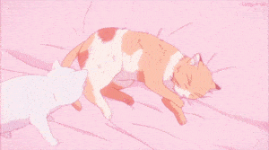 Cute Anime Cats Cuddle on a Pink Bed