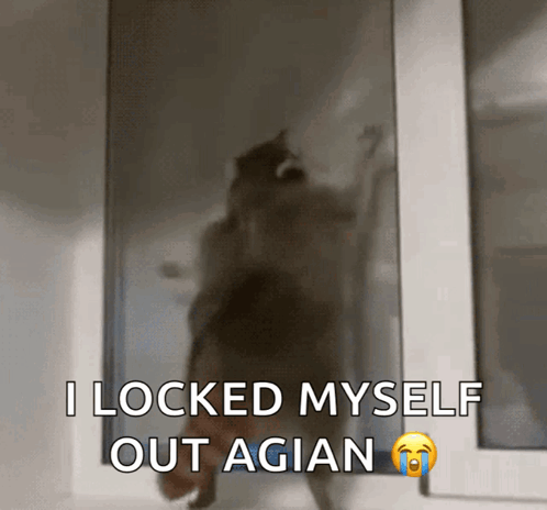Raccoon Locked Out Again