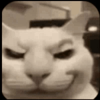 Cat Cat Memes