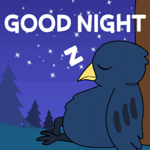 Good Night Crow Under Starry Sky