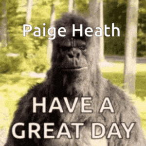 Dayan: Gorilla Gives Thumbs Up, Paige Heath Message