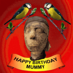 Happy Birthday Mummy: Funny Greeting Card